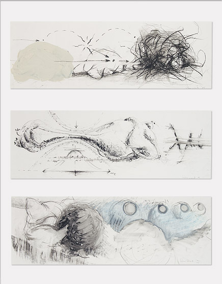 Bj&ouml;rn Warwas, Studien zur Tr&auml;gheit, 2009